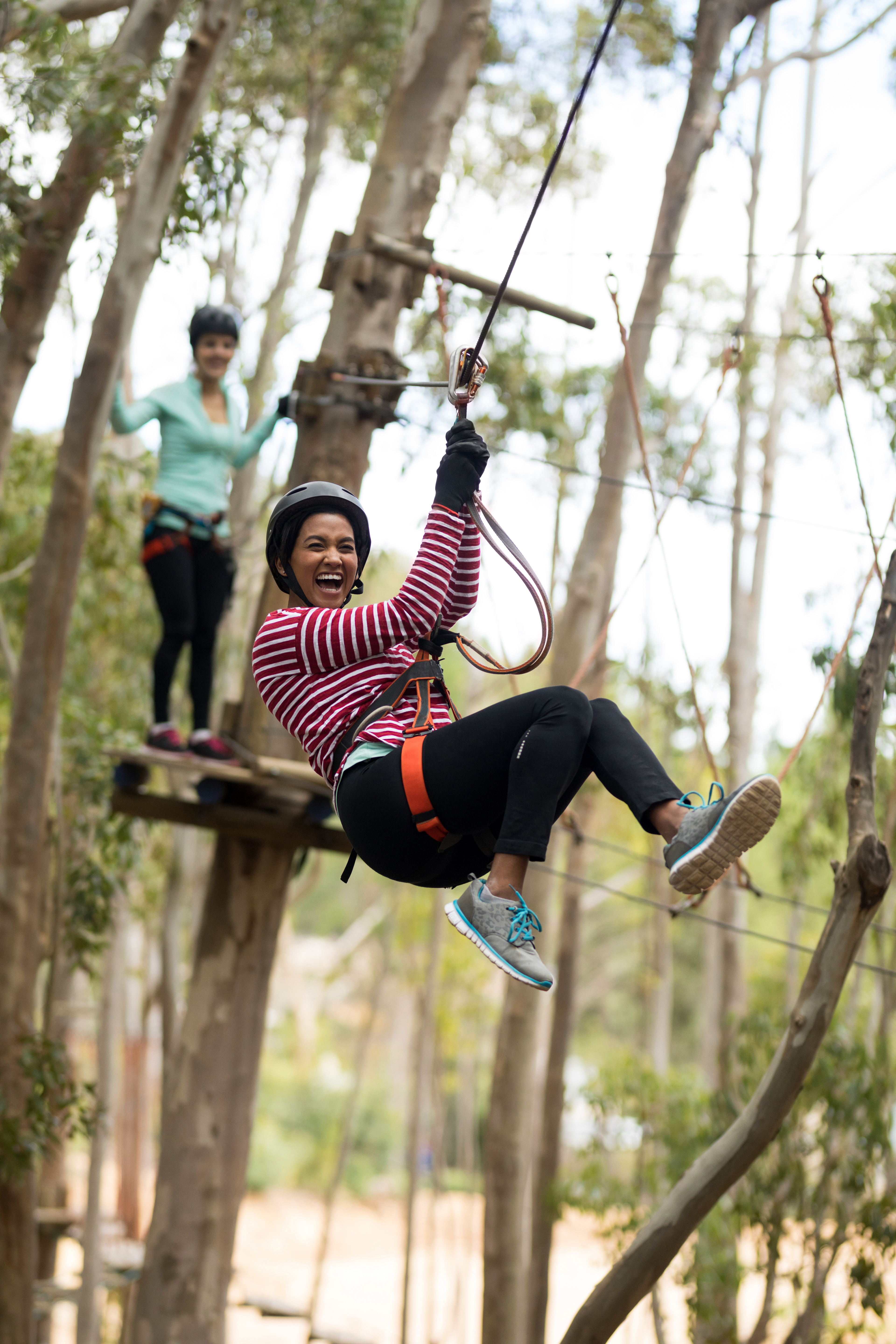 Ziplining in Cape Town — guided canopy zipline tour with Wanderer
