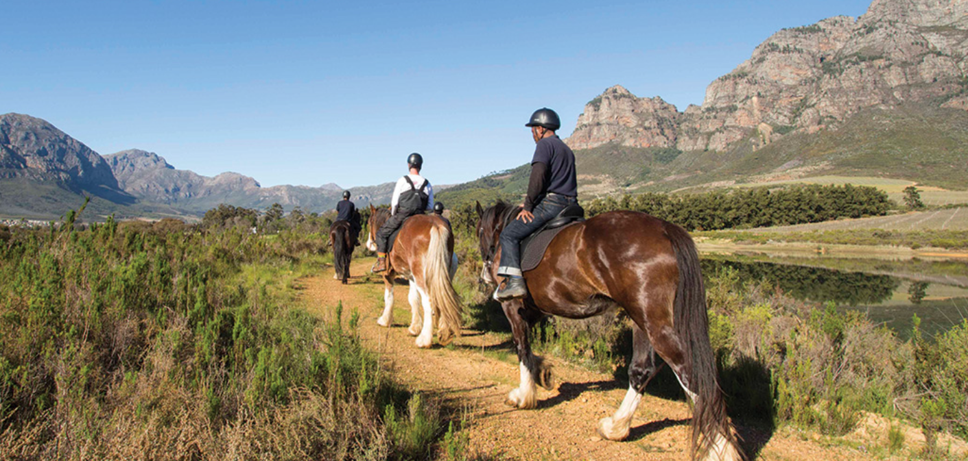 Horse Riding Cape Winelands