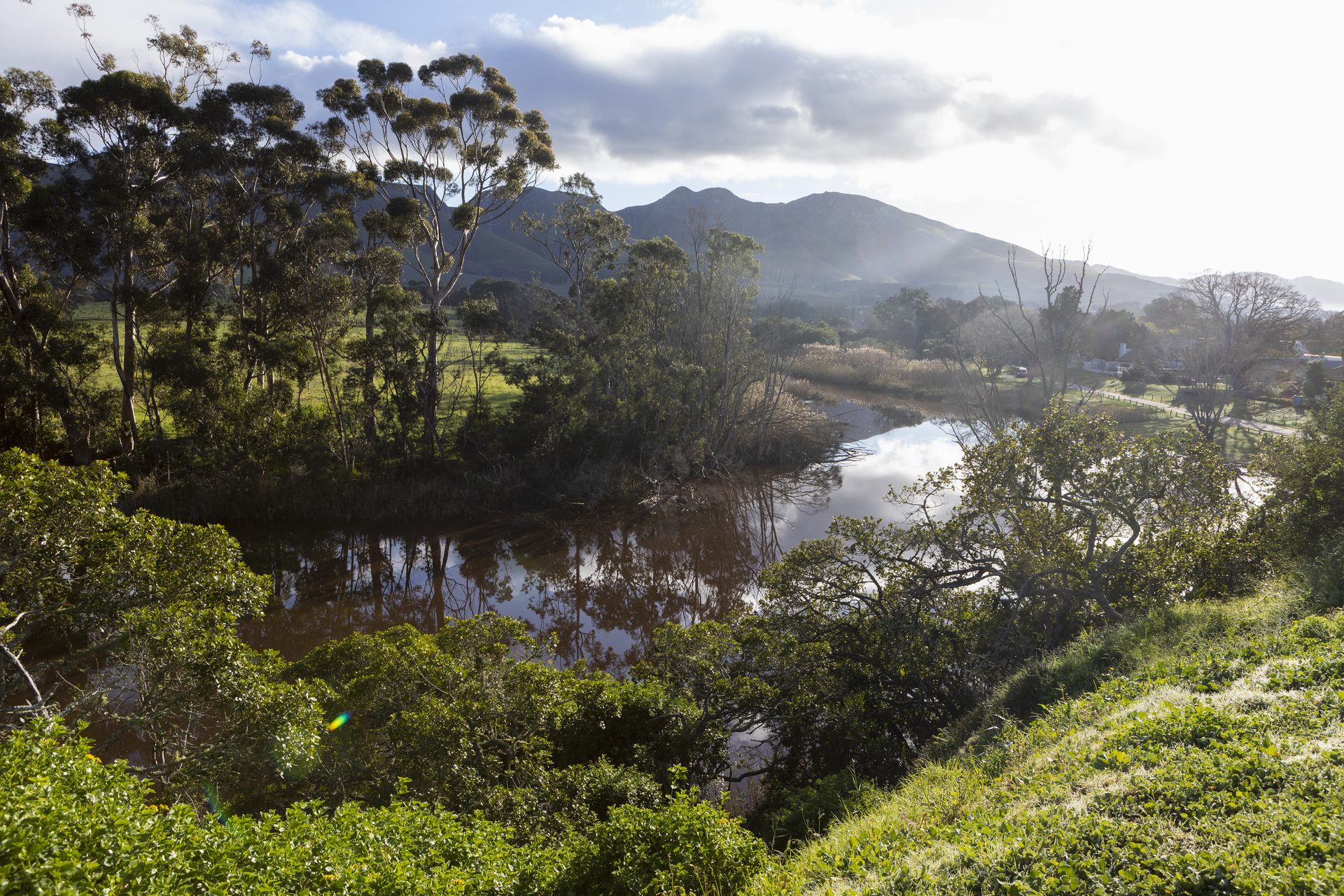 Hermanus coastline for seasonal whale watching on a family Garden Route holiday from Cape Town
