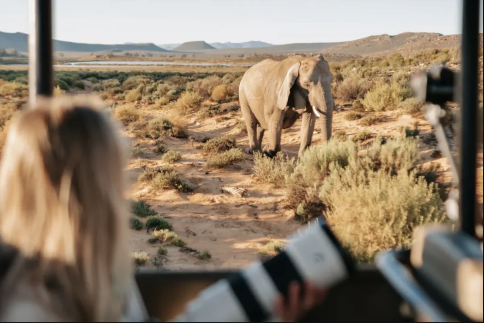 Multi-Day Safari Cape Town