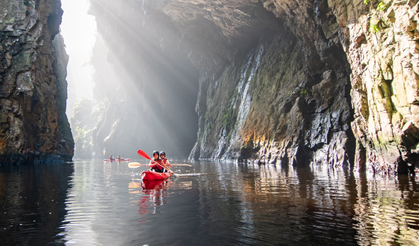 Sea kayaking with African penguins in Simon's Town, Cape Town