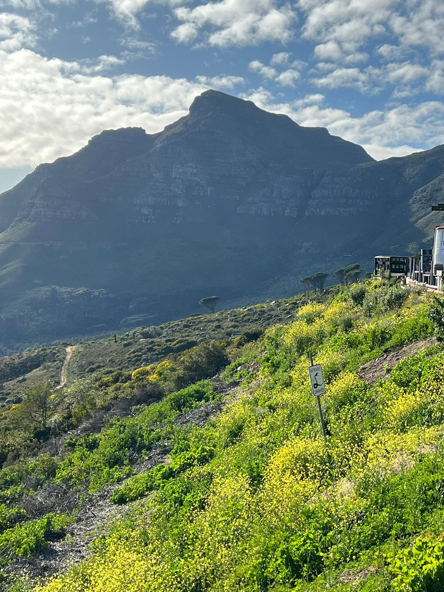 Lion's Head