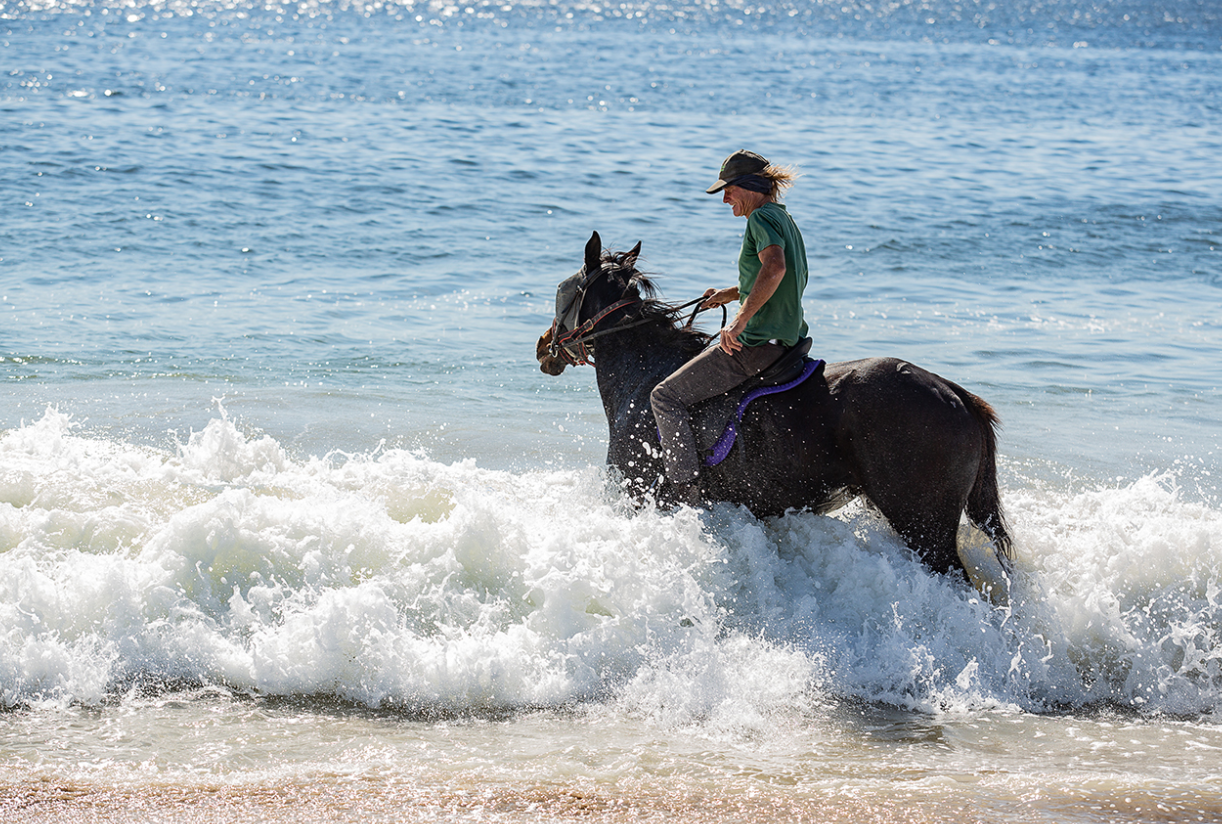 West Coast Horse Trails — Wanderer Tours and Travel