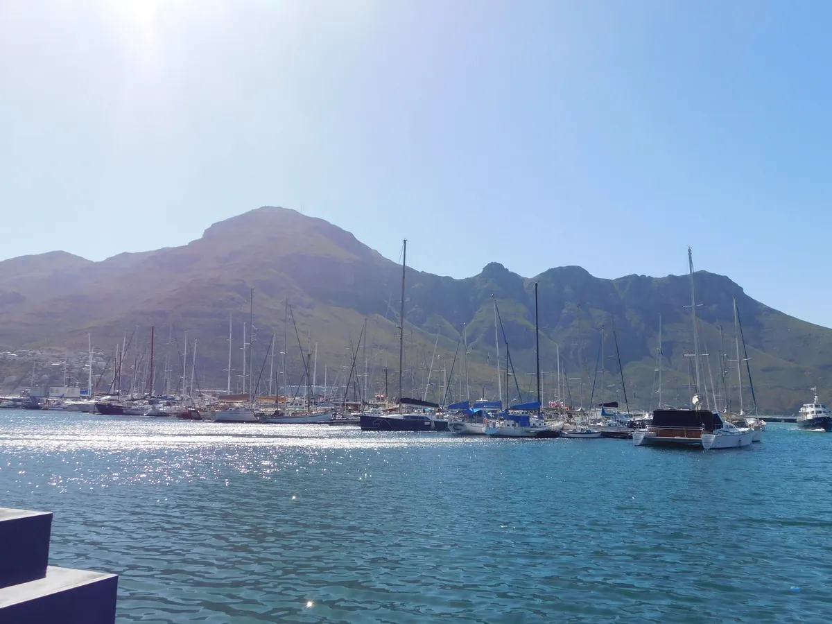 Hout Bay Harbour and the Duiker Island seal colony boat launch on the Cape Peninsula