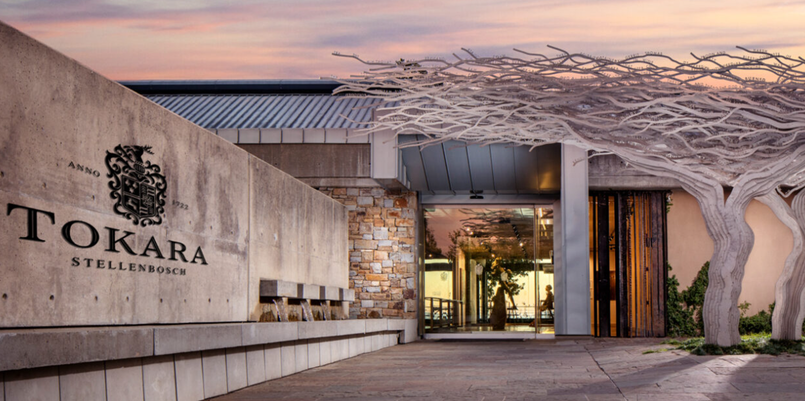 Constantia wine estate vineyards and Table Mountain backdrop, private Wanderer wine tour