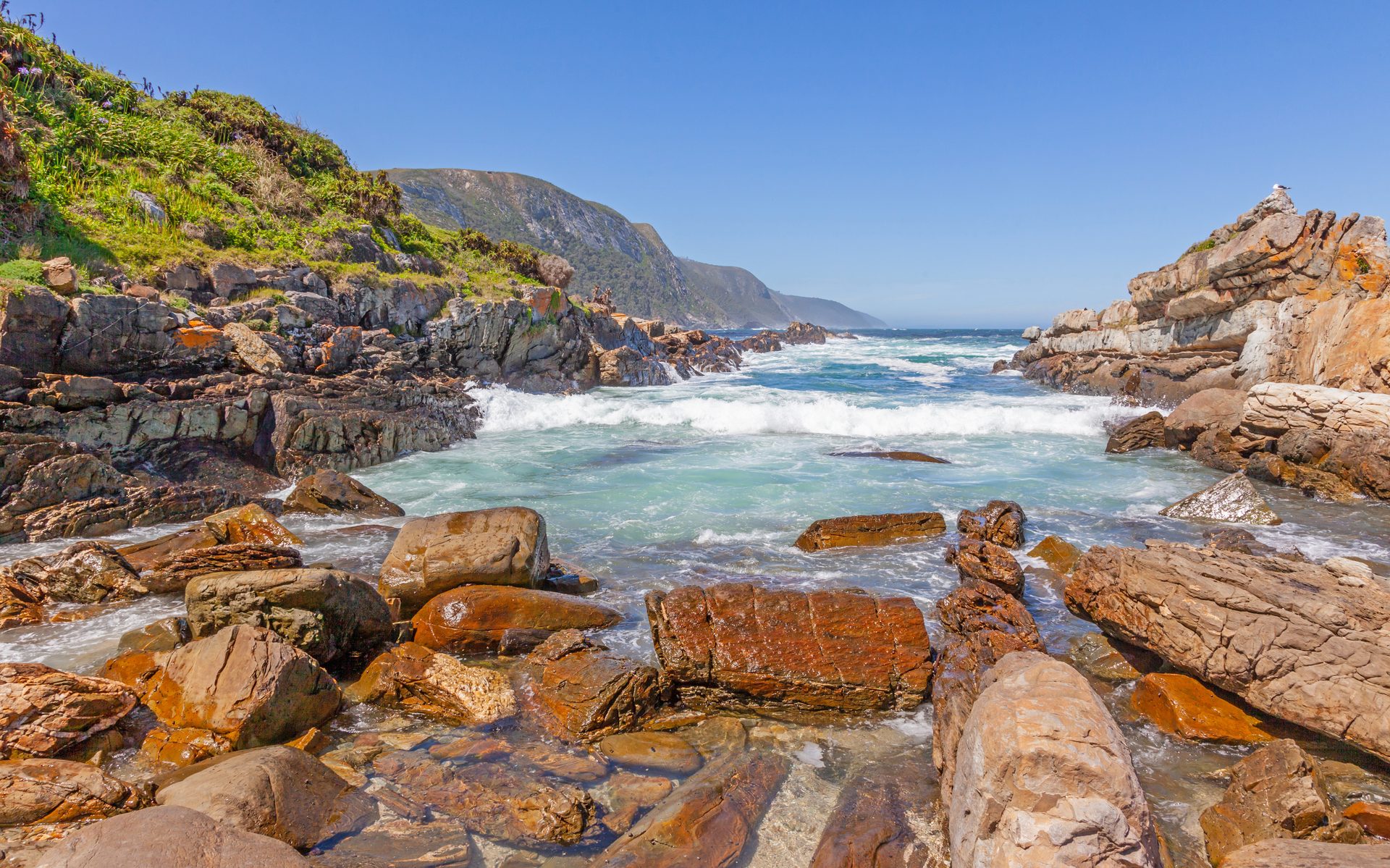 Tsitsikamma coast and indigenous forest near Storms River on the Garden Route