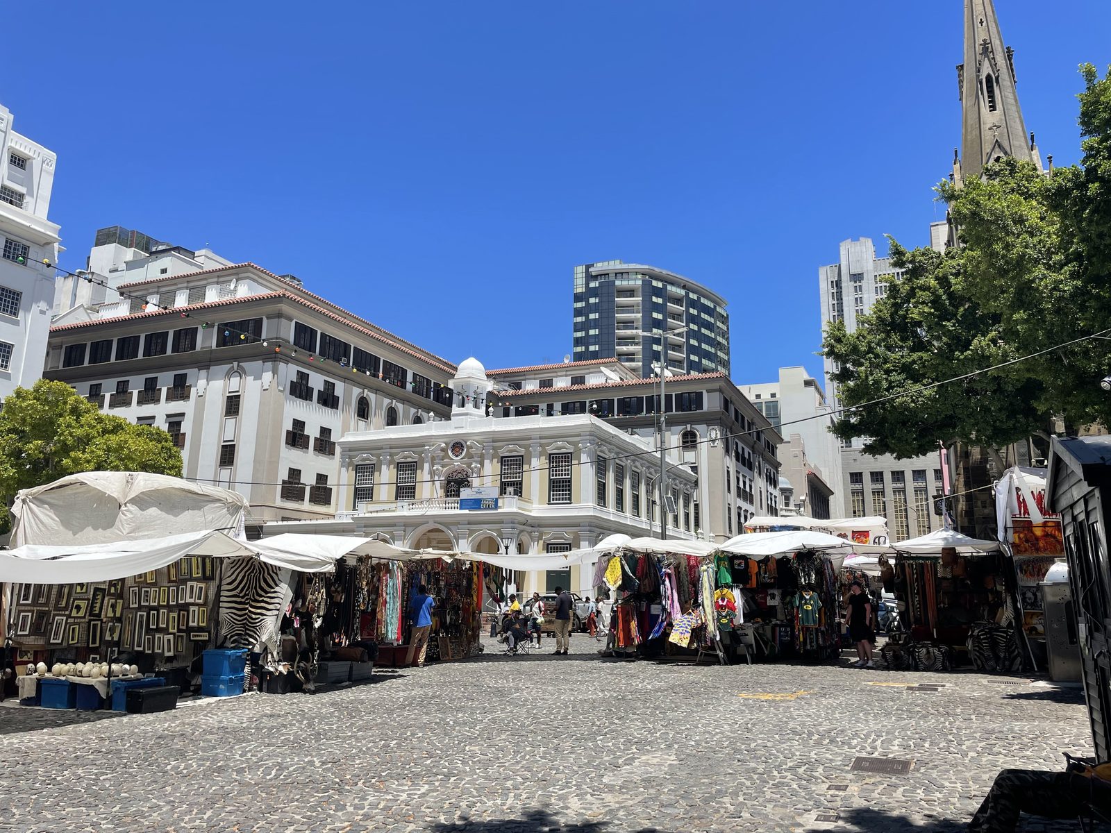 Company's Garden Cape Town on private city tour