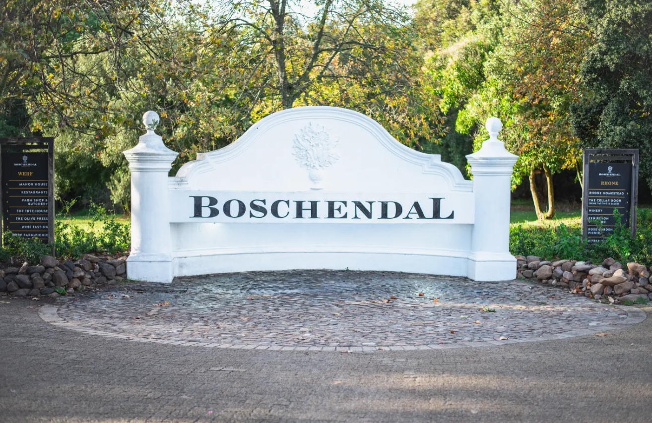 Paarl vineyard and mountain view, private Wanderer wine tour