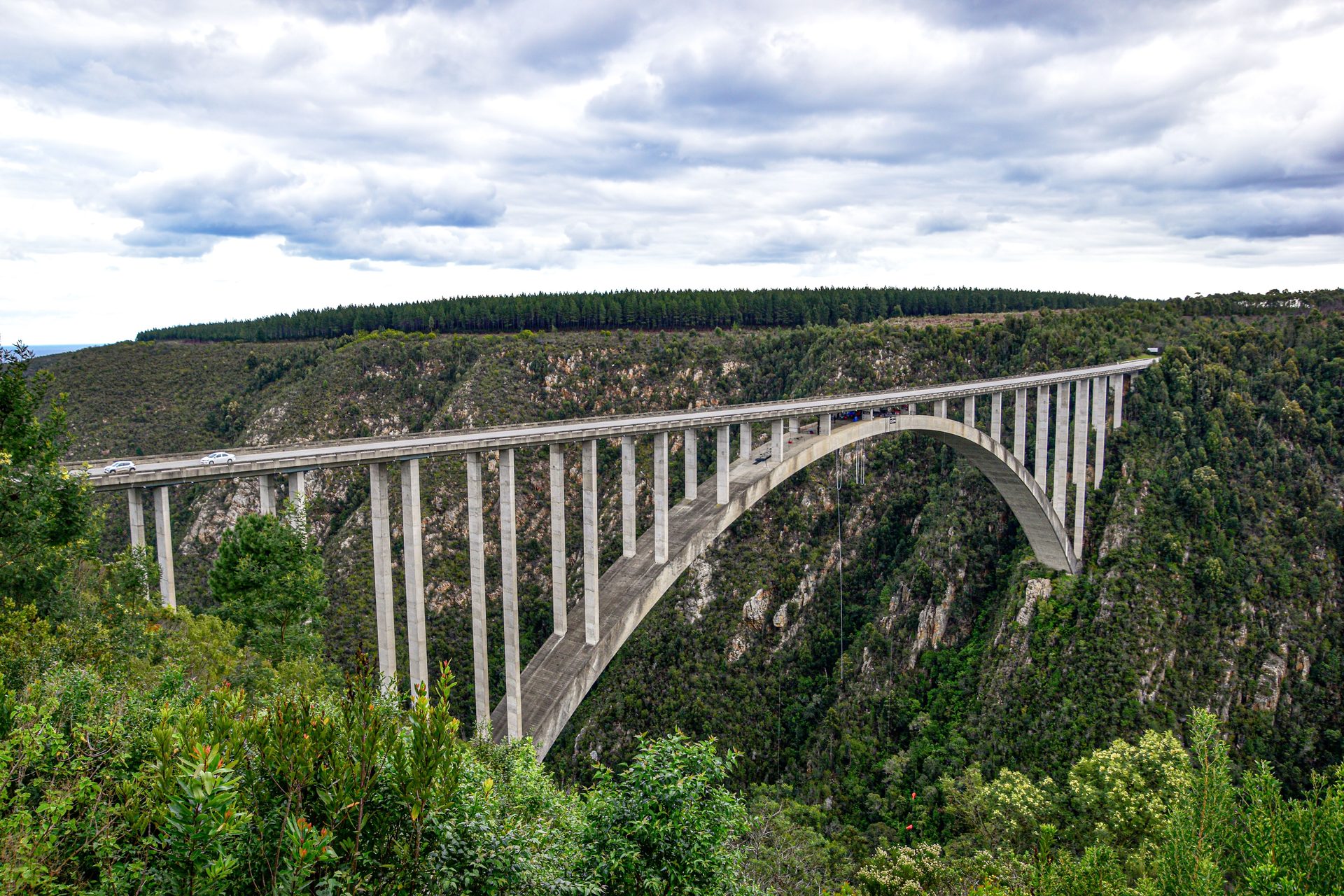 Bloukrans Bridge in Tsitsikamma — private Garden Route Tour from Cape Town by Wanderer